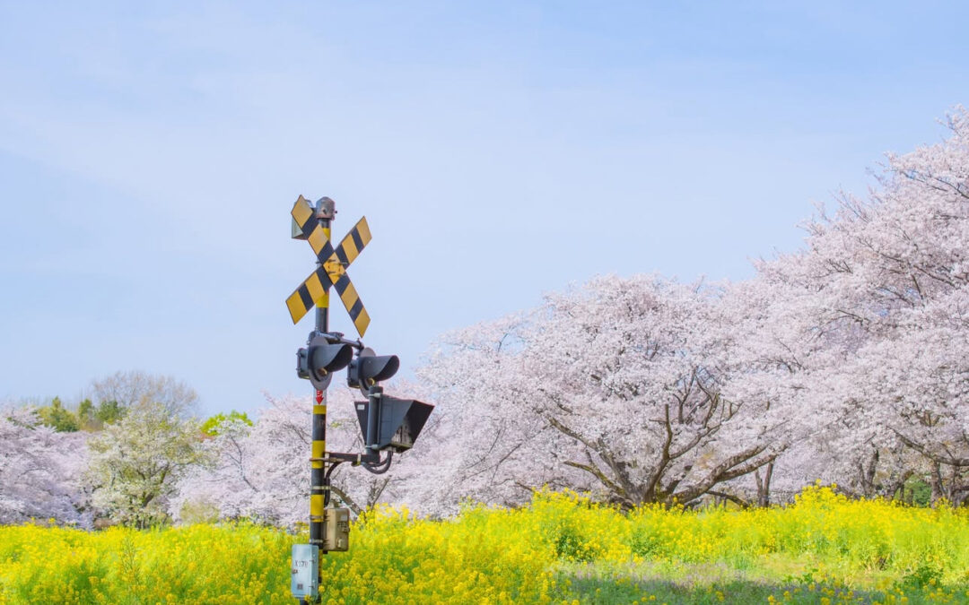 Meet Kanariya: Independent Fabric Designer Spotlight From Japan